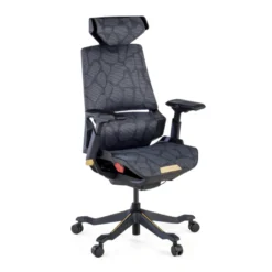 Sedia da Gaming Ergonomica BloodDragon