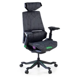 Sedia da Gaming Ergonomica BloodDragon