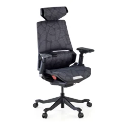 Sedia da Gaming Ergonomica BloodDragon