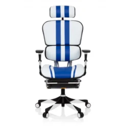 Sedia da Gaming Professionale Ergohuman, 100% regolabile