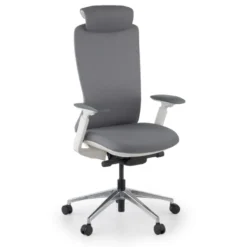 Sedia da ufficio ergonomica Gemini, braccioli 4D e supporto lombare