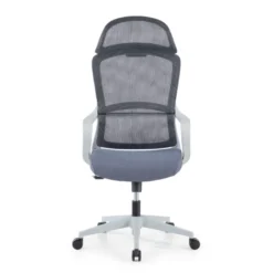 Sedia da Ufficio Ergonomica Nebula, cuscino lombare