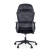 Sedia da Ufficio Ergonomica Nebula, cuscino lombare