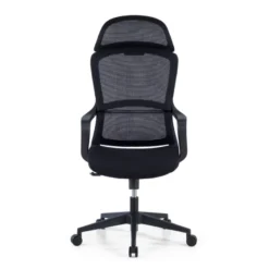 Sedia da Ufficio Ergonomica Nebula, cuscino lombare
