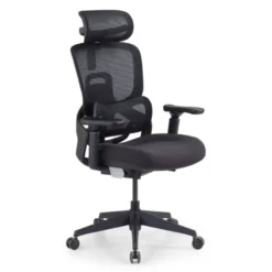 Sedia da ufficio ergonomica ortopedica Zen con poggiatesta