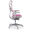 Sedia direzionale ergonomica Ergohuman Elite, Struttura bianca