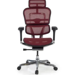 Sedia direzionale ergonomica Ergohuman Elite, Struttura nera