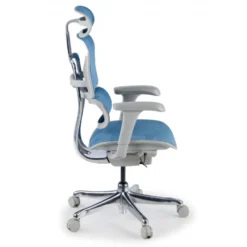 Sedia direzionale ergonomica Ergohuman Edition I, Struttura bianca