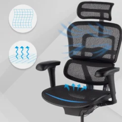 Sedia direzionale ergonomica Ergohuman Edition I, Struttura nera