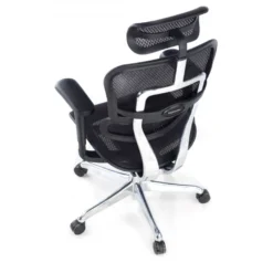 Sedia direzionale ergonomica Ergohuman Edition I, Struttura nera