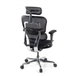 Sedia direzionale ergonomica Ergohuman Edition I, Struttura nera
