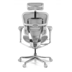 Sedia direzionale ergonomica Ergohuman Elite, Struttura bianca