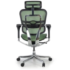 Sedia direzionale ergonomica Ergohuman Elite, Struttura nera
