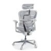 Sedia direzionale ergonomica Ergohuman Edition I, Struttura bianca
