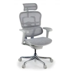 Sedia direzionale ergonomica Ergohuman Edition I, Struttura bianca