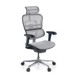 Sedia direzionale ergonomica Ergohuman Edition I, Struttura nera