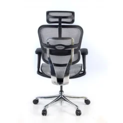 Sedia direzionale ergonomica Ergohuman Edition I, Struttura nera