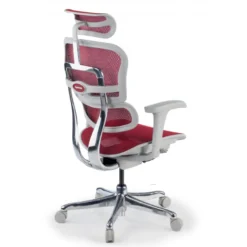 Sedia direzionale ergonomica Ergohuman Edition I, Struttura bianca