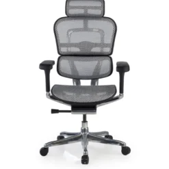 Sedia direzionale ergonomica Ergohuman Elite, Struttura nera