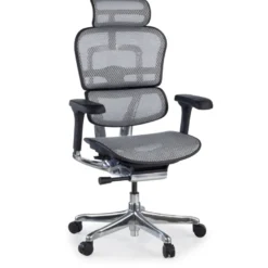 Sedia direzionale ergonomica Ergohuman Elite, Struttura nera