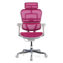 Sedia direzionale ergonomica Ergohuman Edition I, Struttura bianca