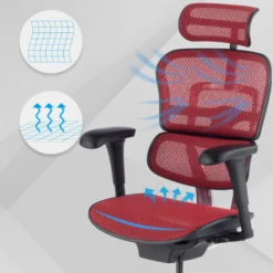 Sedia direzionale ergonomica Ergohuman Edition I, Struttura nera