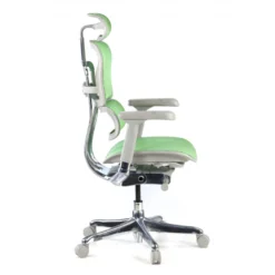 Sedia direzionale ergonomica Ergohuman Elite, Struttura bianca