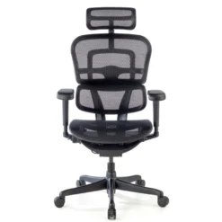 Sedia Ergohuman Ultra Black Carbon Edition