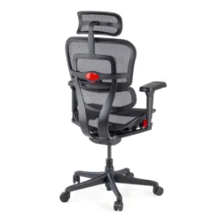 Sedia Ergohuman Ultra Gaming Edition Black Carbon