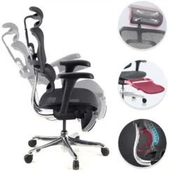 Sedia ergonomica con poggiapiedi Ergohuman Edition I, modello premium