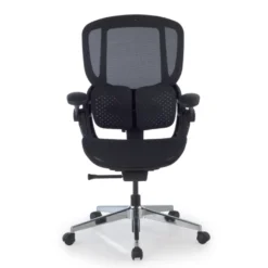 Sedia ergonomica Erghos One, ortopedica, doppio supporto lombare