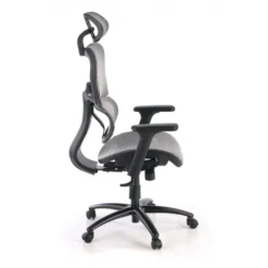 Sedia Ergonomica Ergocity, cuscino lombare, braccioli 3D
