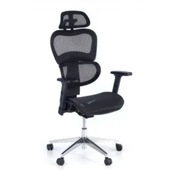 Sedia Ergonomica Ergocity FX, base in alluminio e rete TechSport