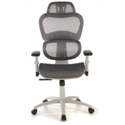 Sedia Ergonomica Ergocity white cuscino lombare, braccioli 3D