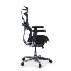 Sedia Ergonomica Ergohuman Elite, seduta imbottita, struttura nera