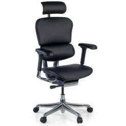 Sedia Ergonomica Ergohuman Elite, pelle naturale