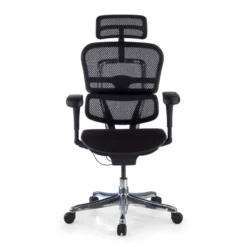 Sedia Ergonomica Ergohuman V2, seduta imbottita, struttura nera