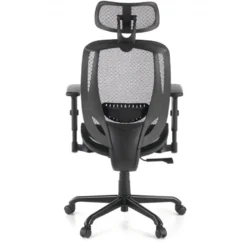 Sedia Ergonomica Locktech, Supporto Lombare, Poggiatesta