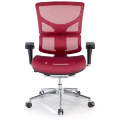 Sedia Ergonomica Next2, modello premium