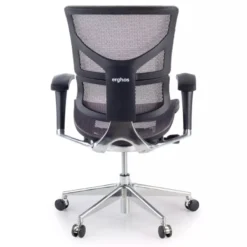Sedia Ergonomica Next2, modello premium