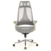 Sedia Ergonomica Thunder, premium, supporto lombare, rete