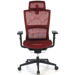 Sedia Ergonomica Winter, Supporto Lombare, Poggiatesta