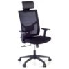 Sedia Ufficio Ergonomica Verdi, braccioli regolabili, con poggiatesta